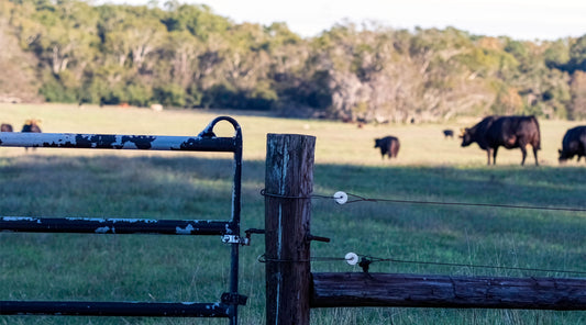 A Beginner's Guide to Building an Electric Fence